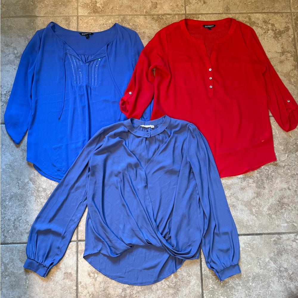 Express and Lush Blouse Bundle